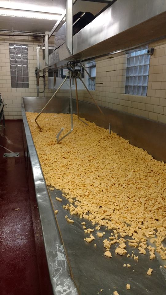 18033196_10154532625791732_9167045016529248283_n